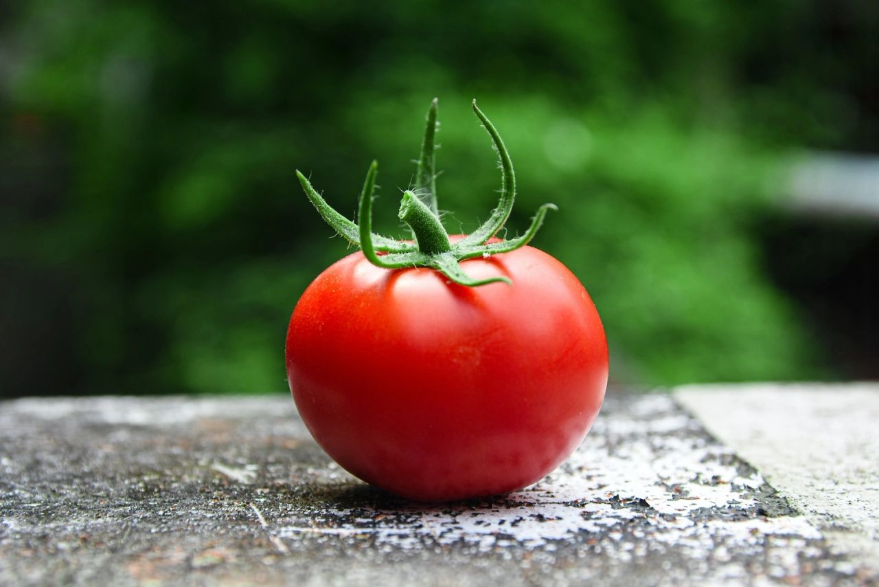 Tomato and multi-tasking